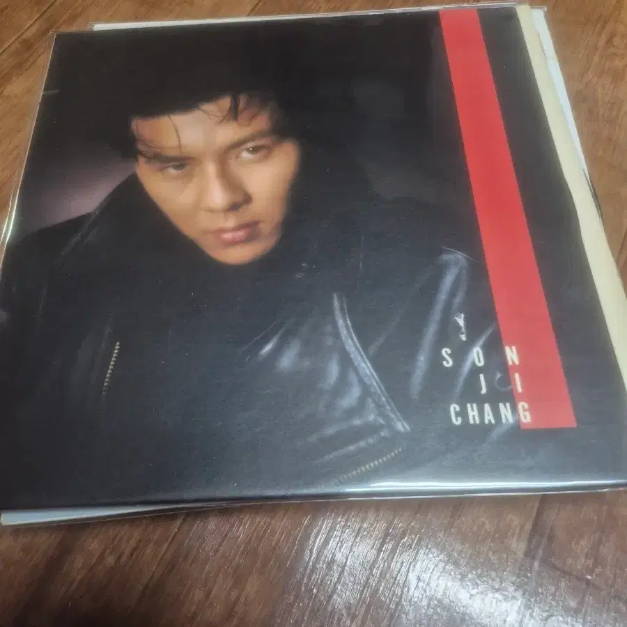 손지창 lp
