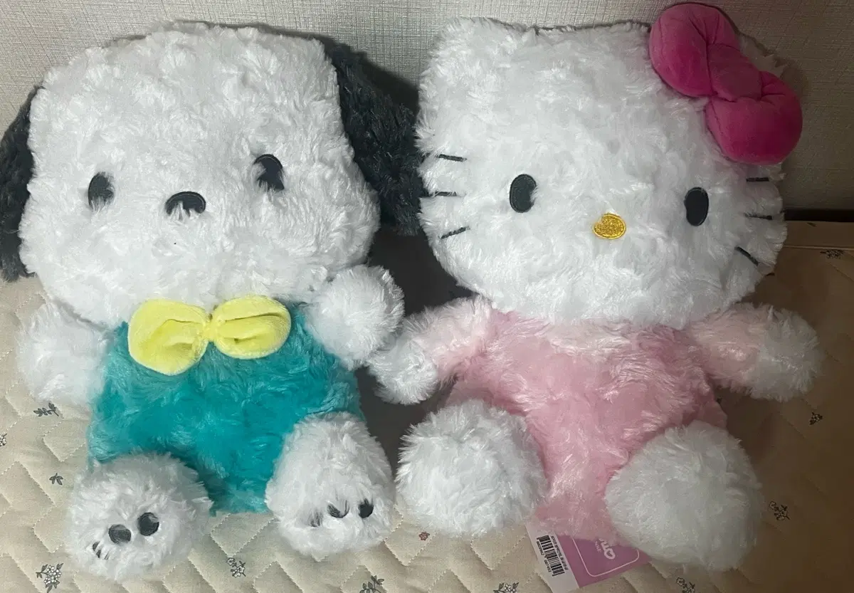 (급처) 산리오 포차코, 키티 인형 팔아요