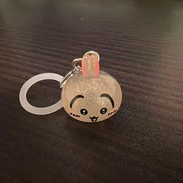 치이카와 파크 메지루시 토끼