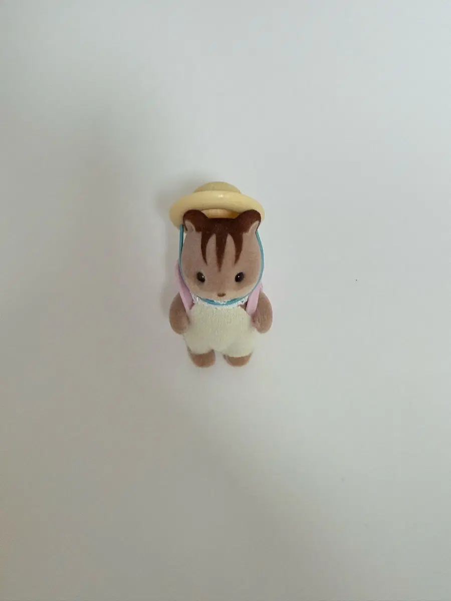 실바니안 다람쥐
