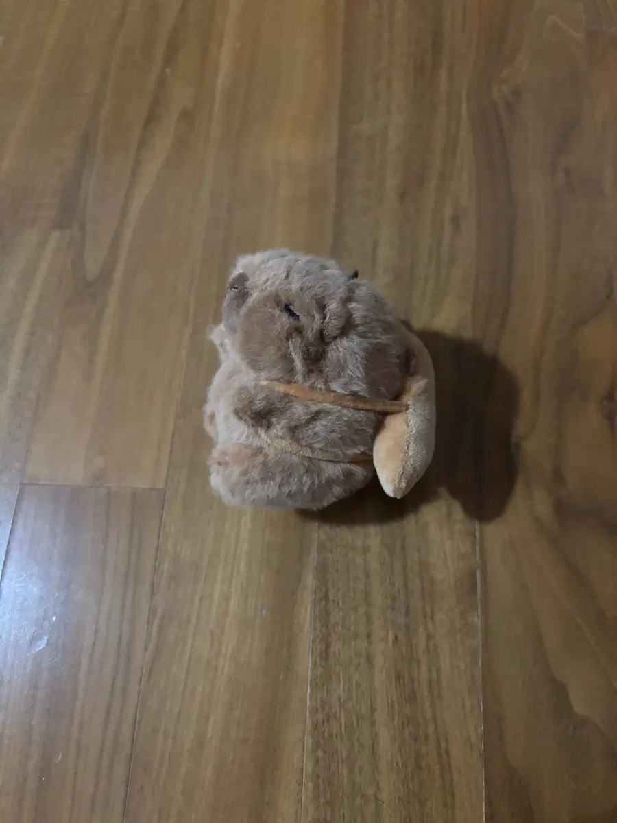 인형 팔아요