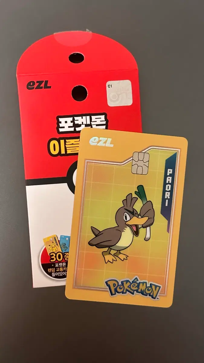 포켓몬 이즐 교통카드 파오리