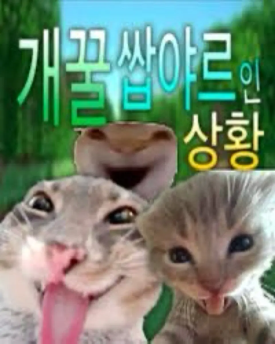 현정훈 복영