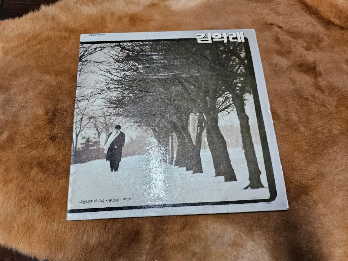 김학래 1집 사랑하면 안되나 lp 무료배송