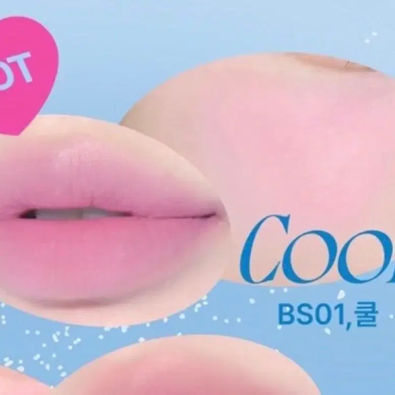 퓌 립앤치크 블러리 푸딩팟 BS01 쿨