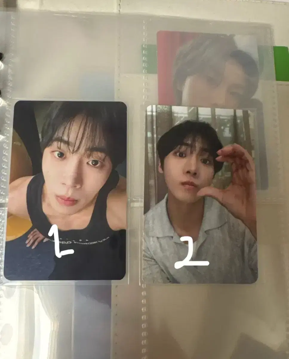 추영우 포토카드