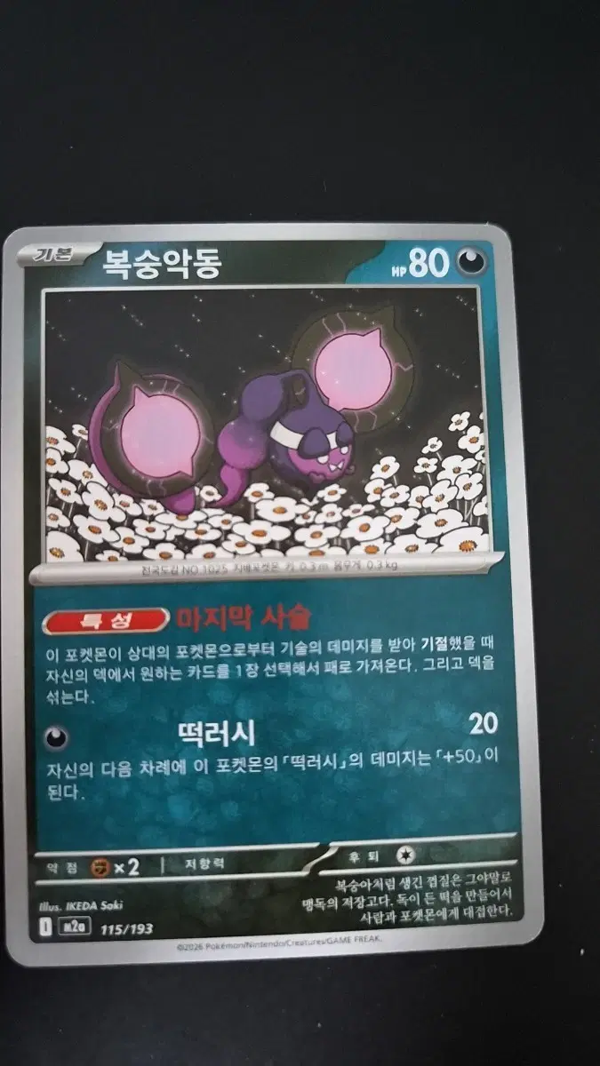 포켓몬 카드 복숭악동