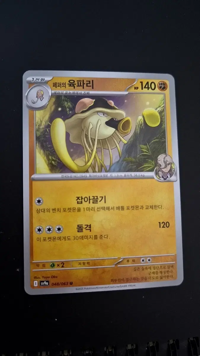 포켓몬 카드 육파리