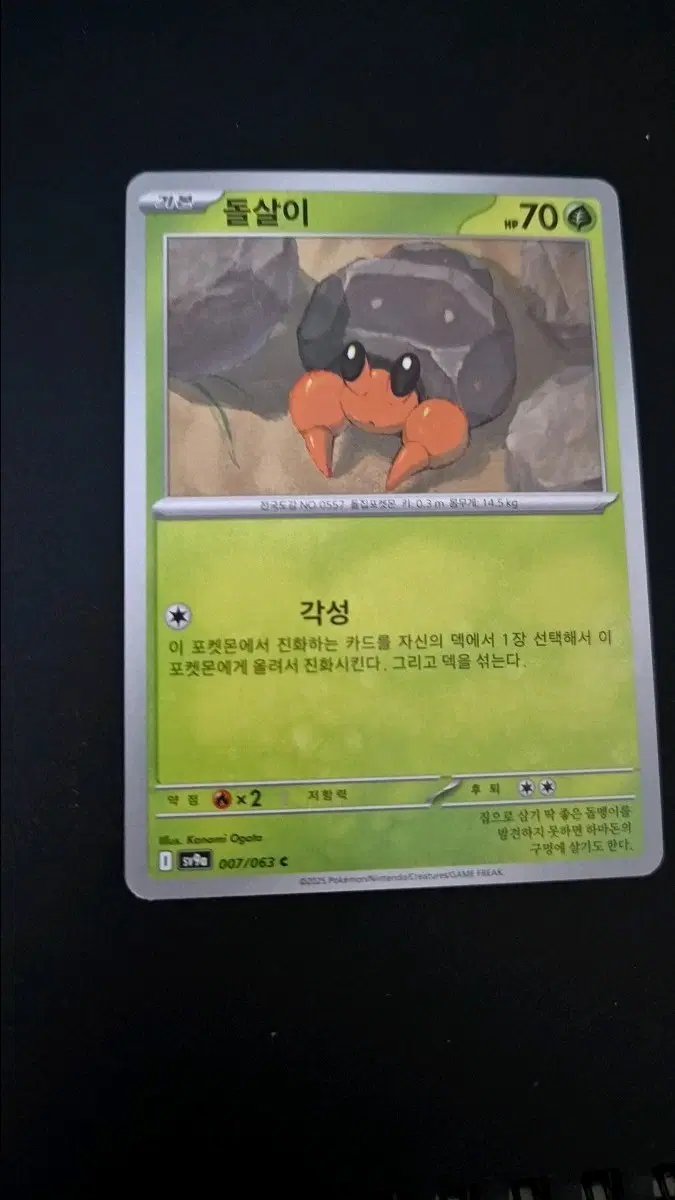 포켓몬 카드 돌살이