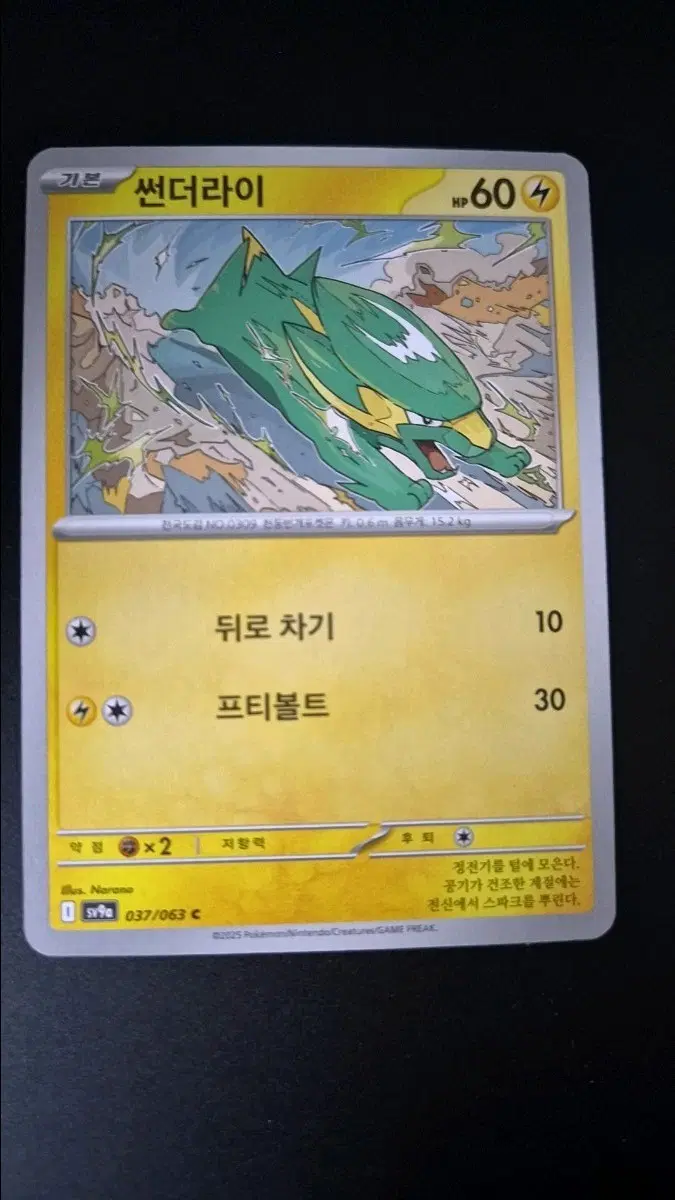 포켓몬카드 썬더라이