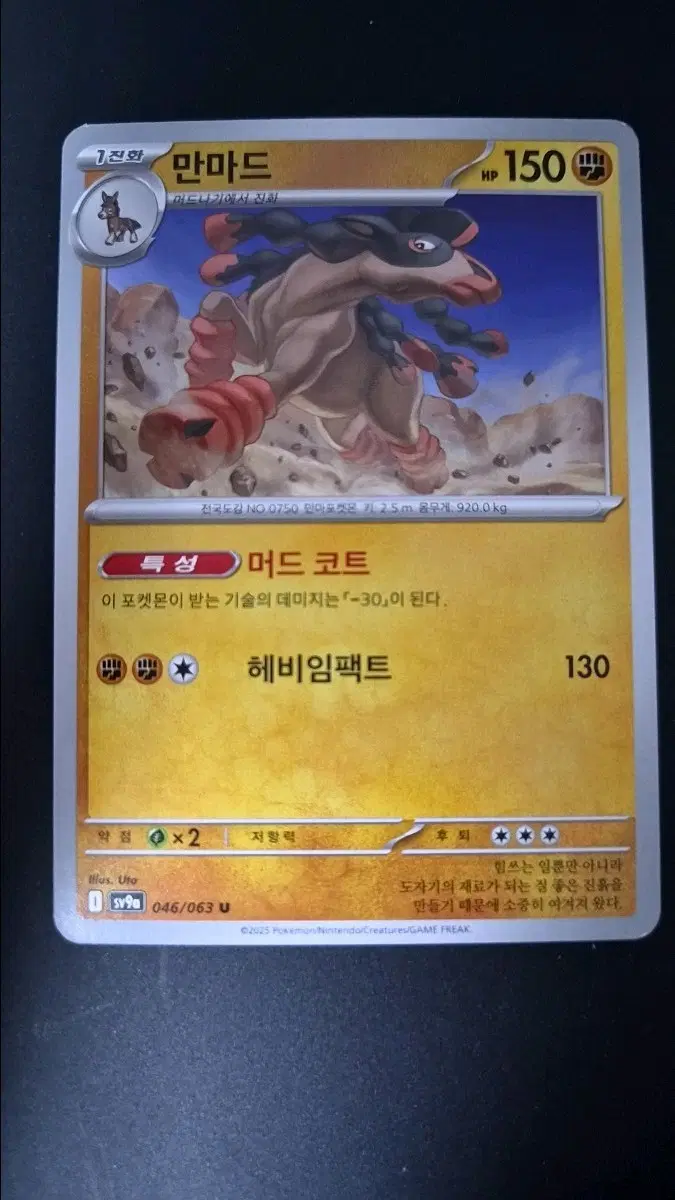 포켓몬카드 머드나기