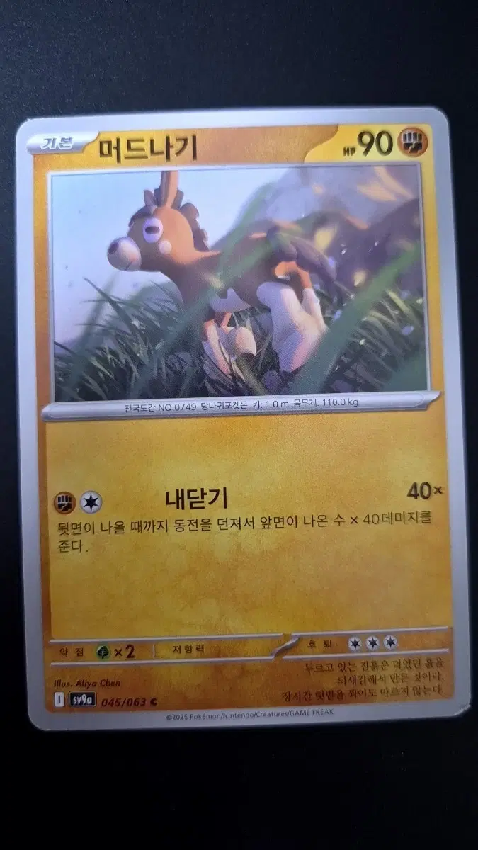 포켓몬카드 머드나기