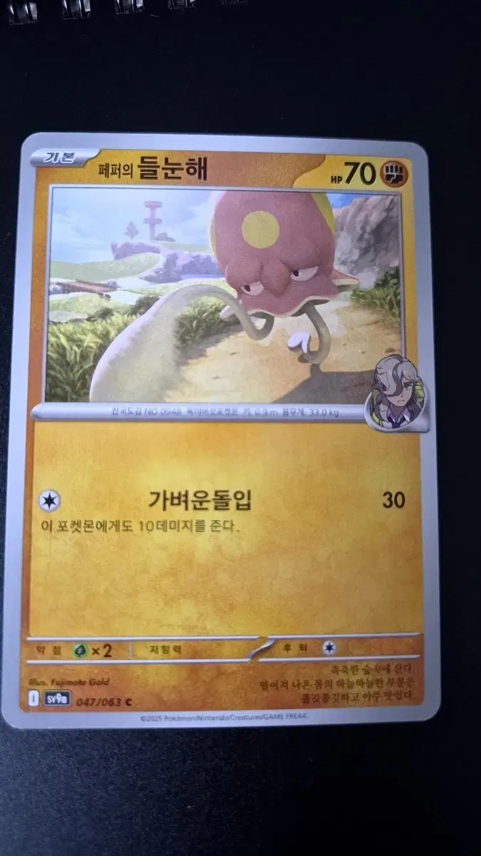 포켓몬 카드 페퍼의 들눈해