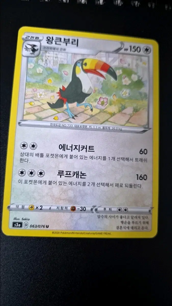 포켓몬카드 왕큰부리