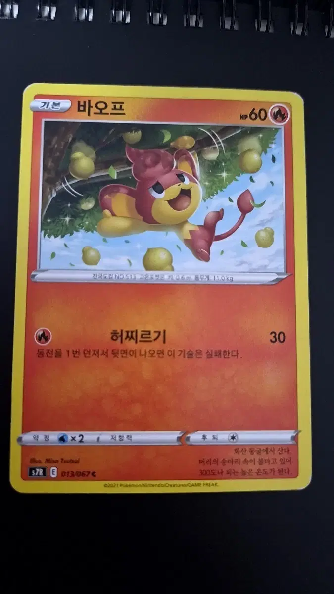포켓몬 카드 바오프