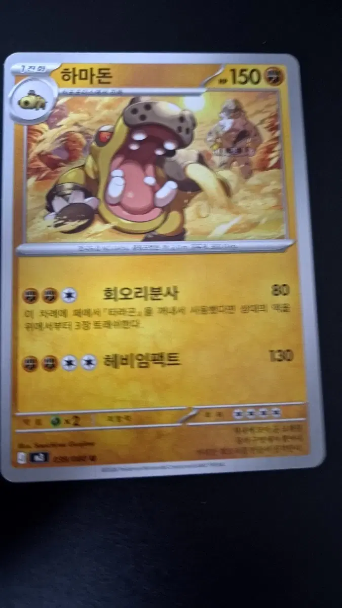 포켓몬 카드 하마돈