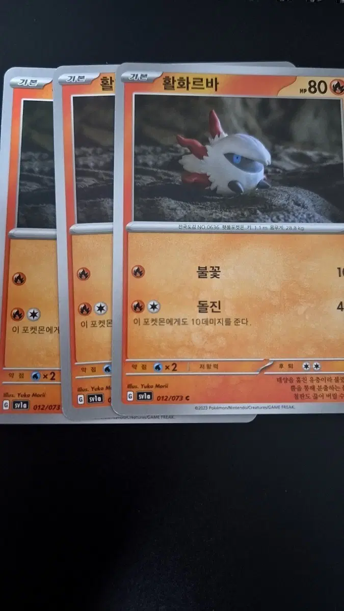 포켓몬 카드 활화르바