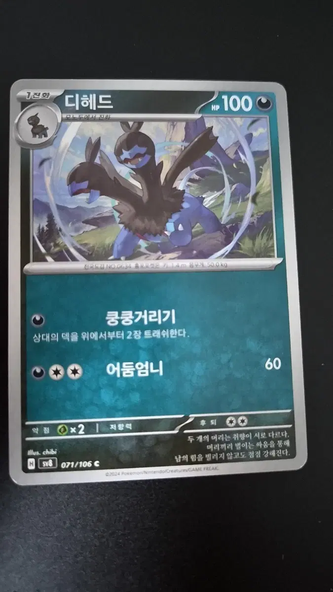 포켓몬 카드 디헤드