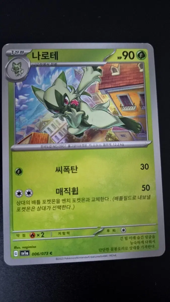 포켓몬카드 나로테