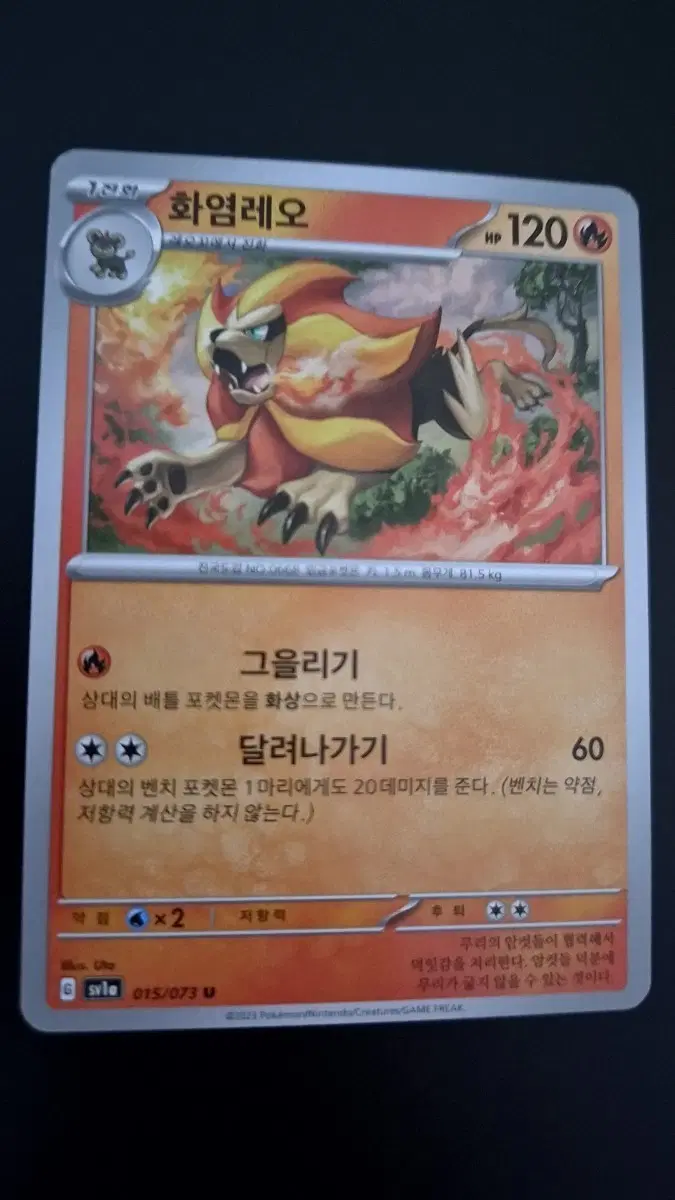 포켓몬 카드 화염레오
