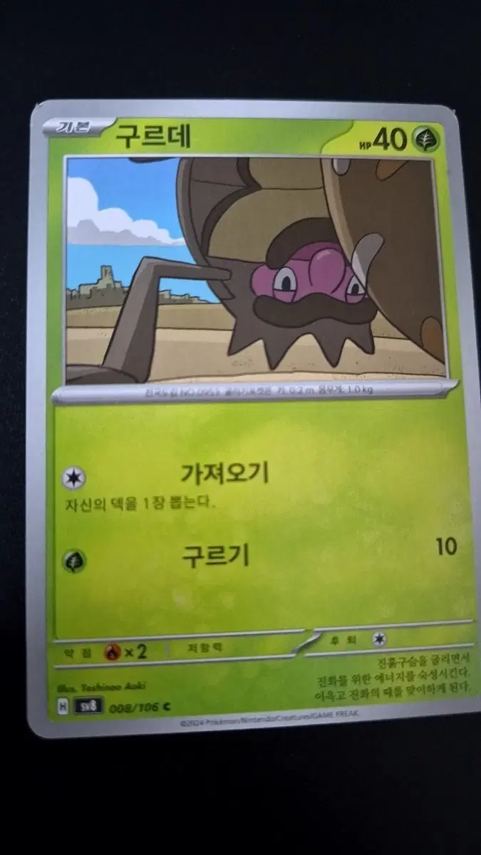 포켓몬 카드 구르데