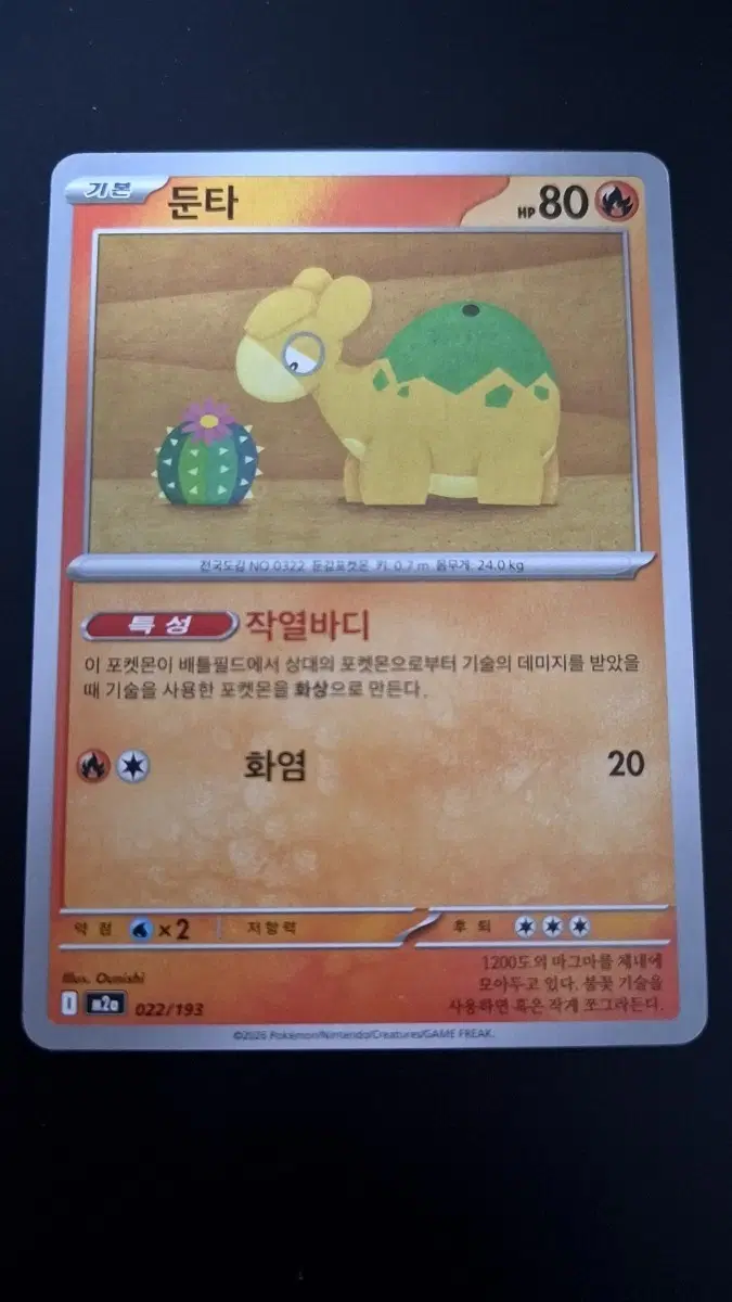 포켓몬 카드 둔타