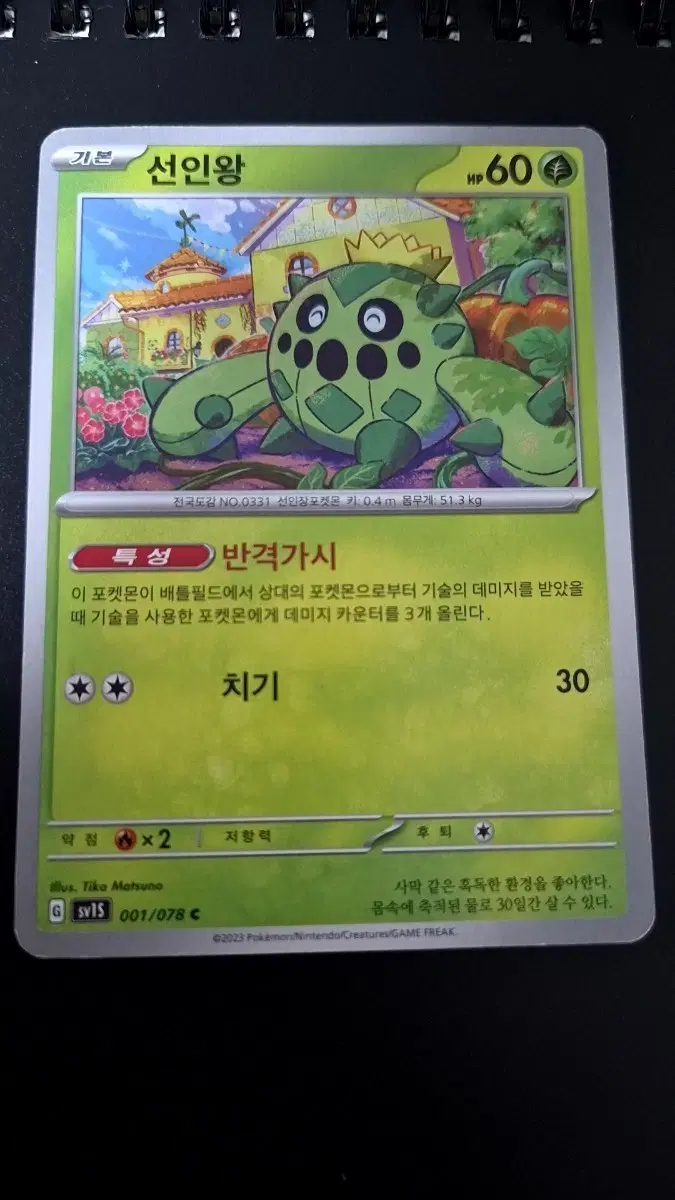 포켓몬 카드 선인왕