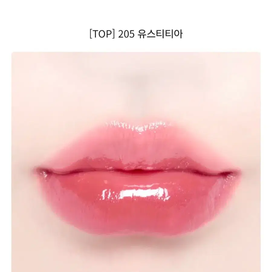 딘토 블러 글로이립 틴트205 유스티티아