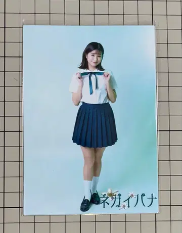 타니가와 아이리 브로마이드 2