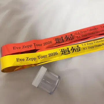 Eve Zepp Tour 2026 회귀 은색 테이프