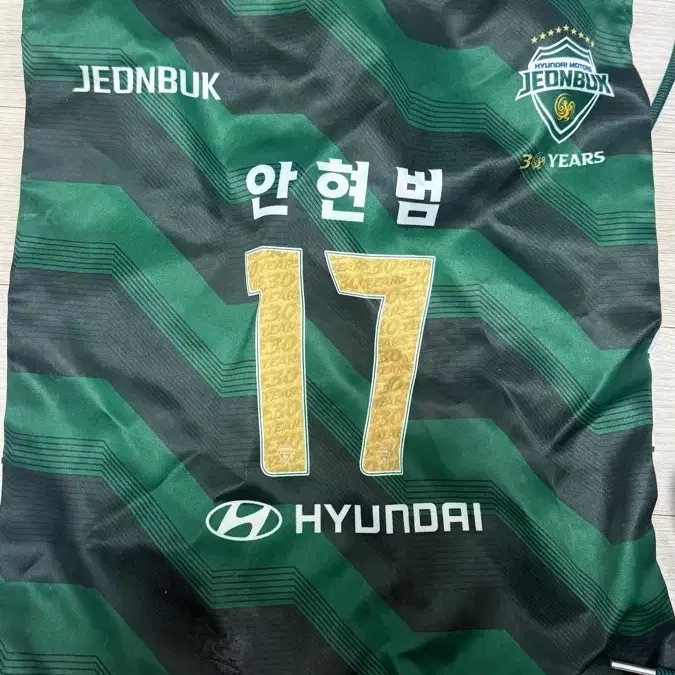 전북 현대 모터스 안현범 17번 짐색