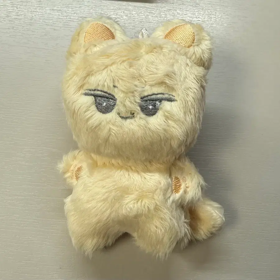 문쭌냥