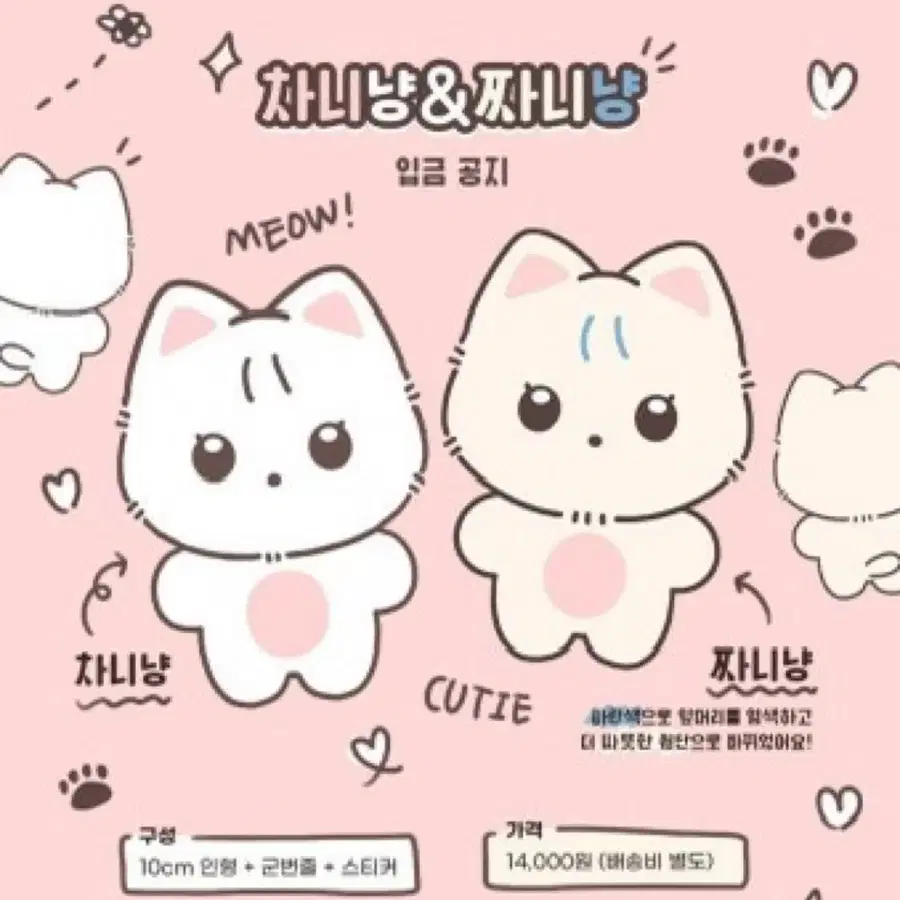 차니냥 판매합니나