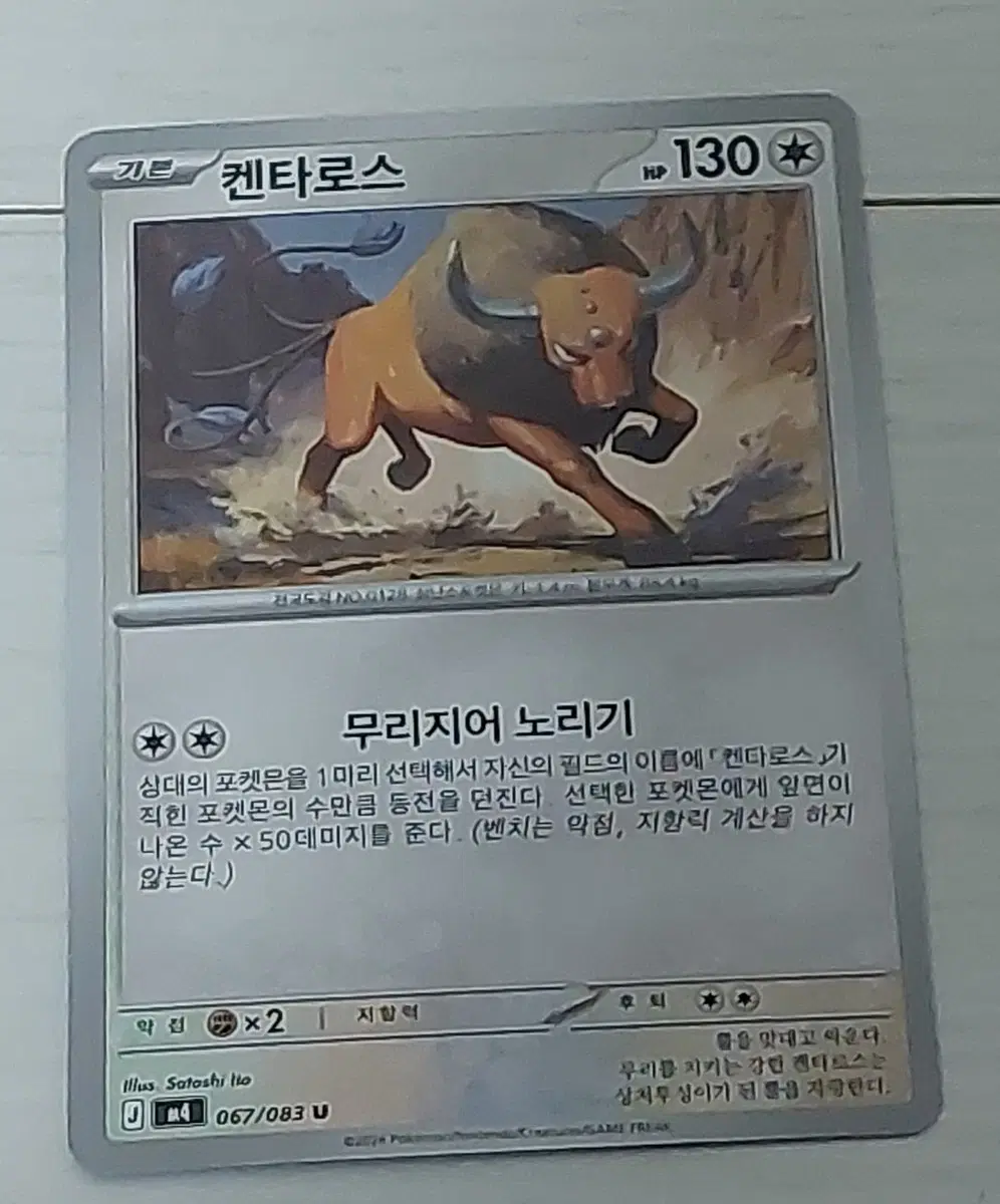포켓몬 카드 켄타로스 싸게 판매 100원