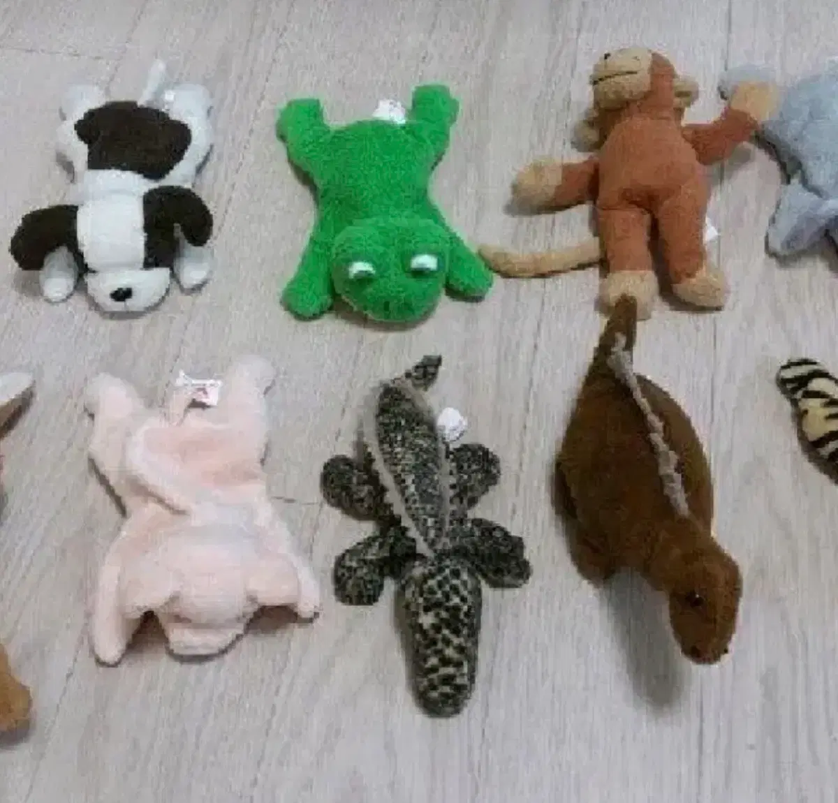 (구해요) 베이비 몬테소리 인형 악어인형 구합니다