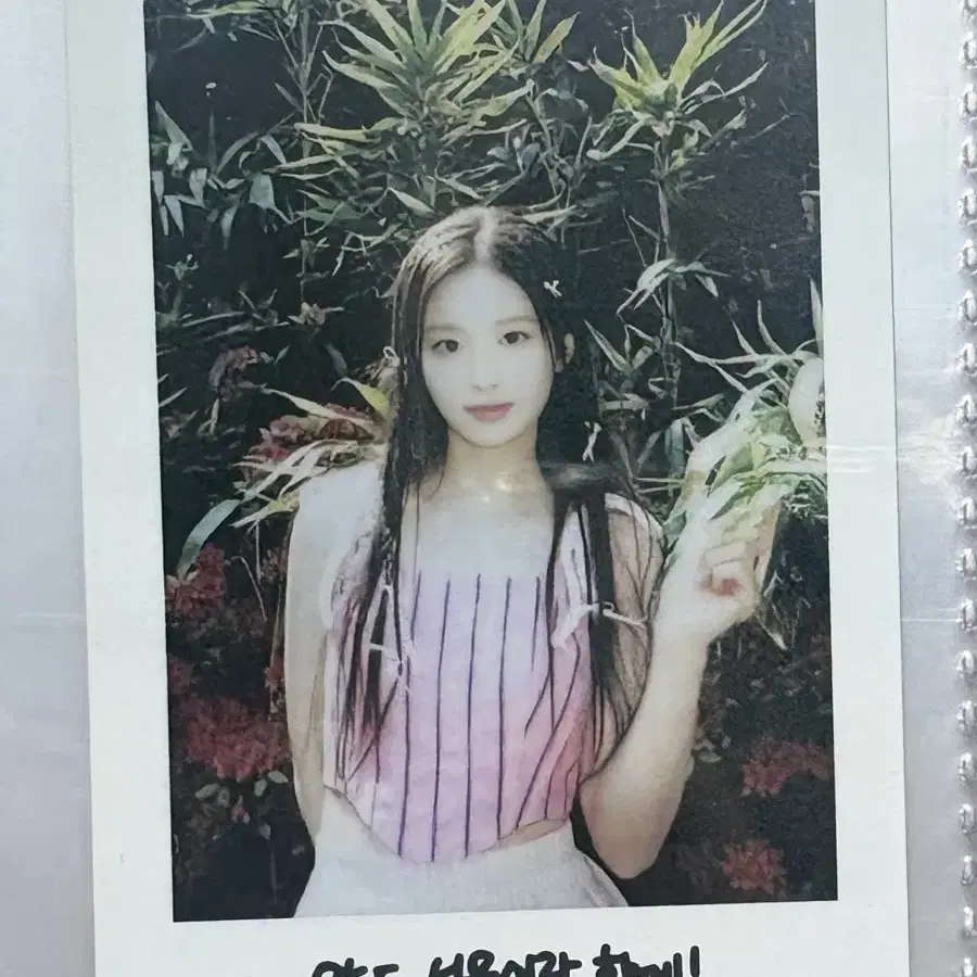 설윤 A Midsummer NMIXXs Dream 앨범 폴라로이드