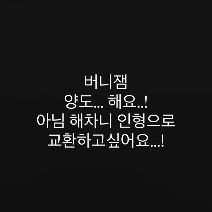버니잼 양도, 교환 엔시티 엔시티드림 nct dream 나재민 재민 jaemin 버니잼 인형