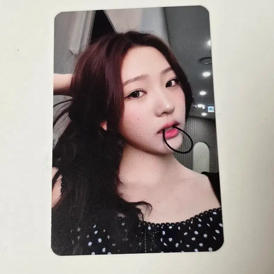 하츠투하츠 하투하 스타일 뮤빗 포카 스텔라 럭드 럭키드로우
