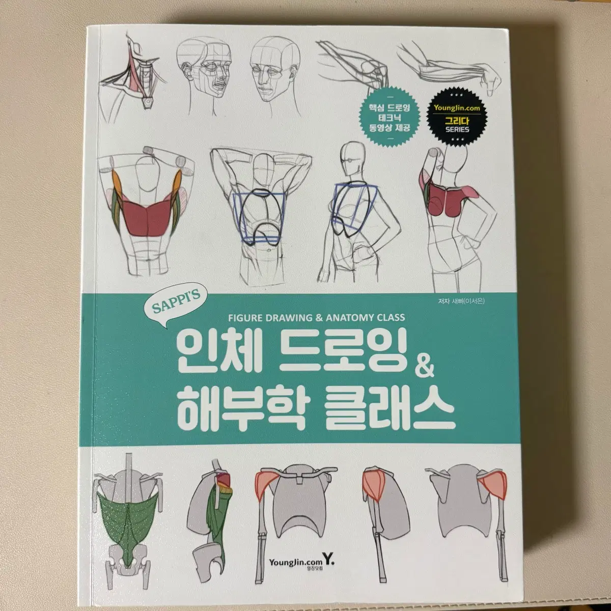 인체 드로잉 & 해부학 클래스