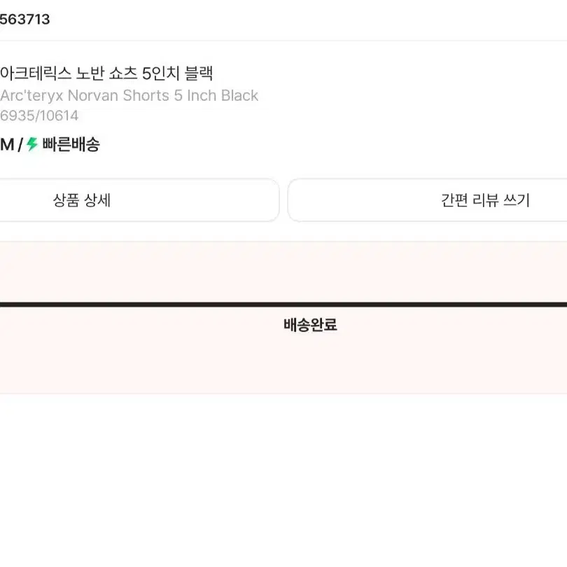 아크테릭스 5인치 반바지