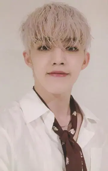 SEVENTEEN An Ode S.COUPS 트레이딩 카드 화이트