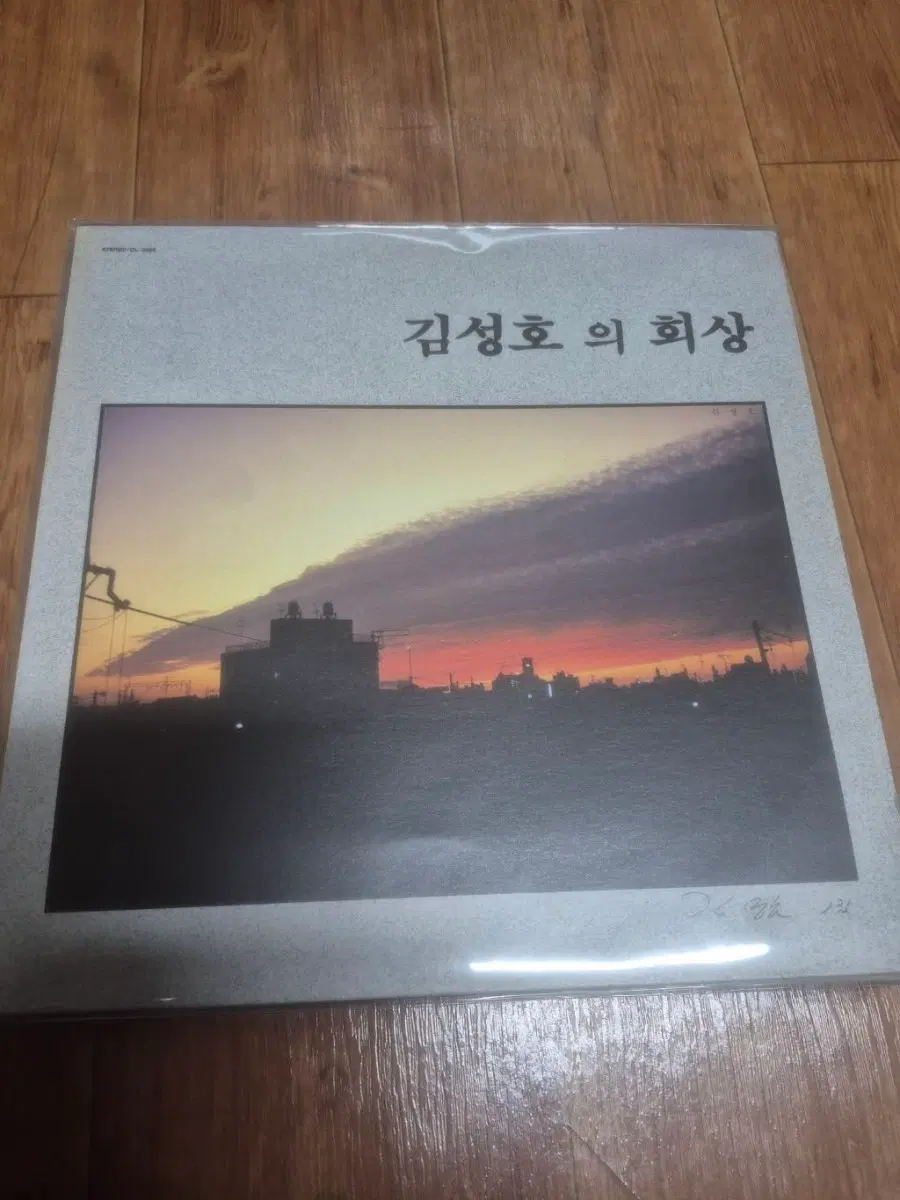 김성호의 화상 lp