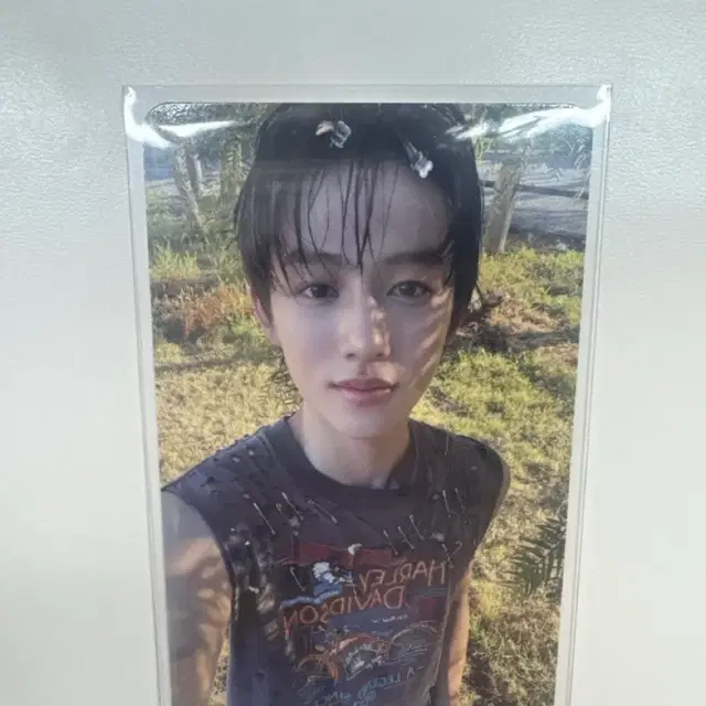 코르티스 성현 뮤직코리아 럭드 포카 양도