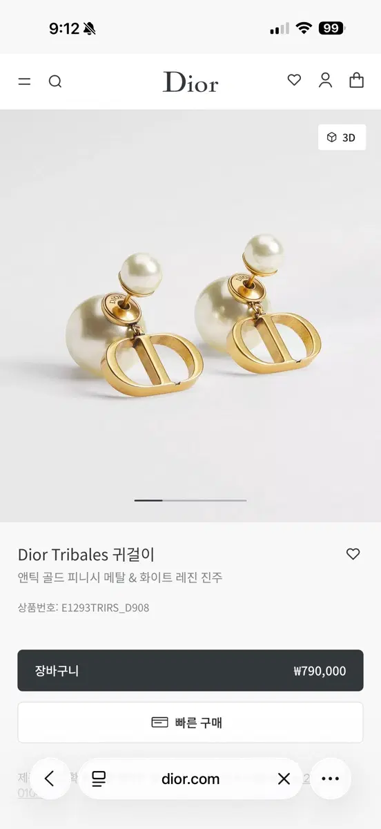 디올 트라이벌 귀걸이