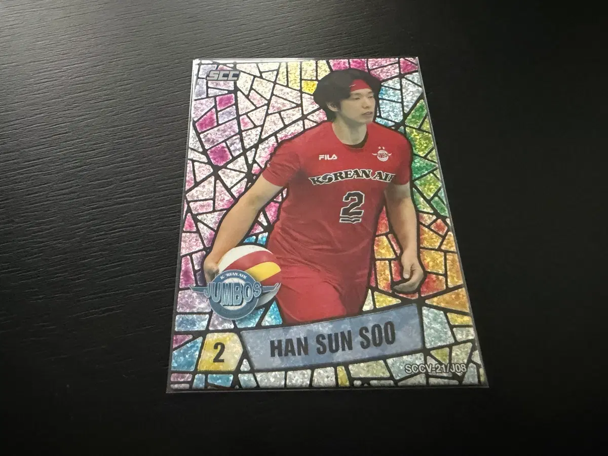 (대) 2021 SCC KOVO 버라이어티 홀로 대한항공 한선수