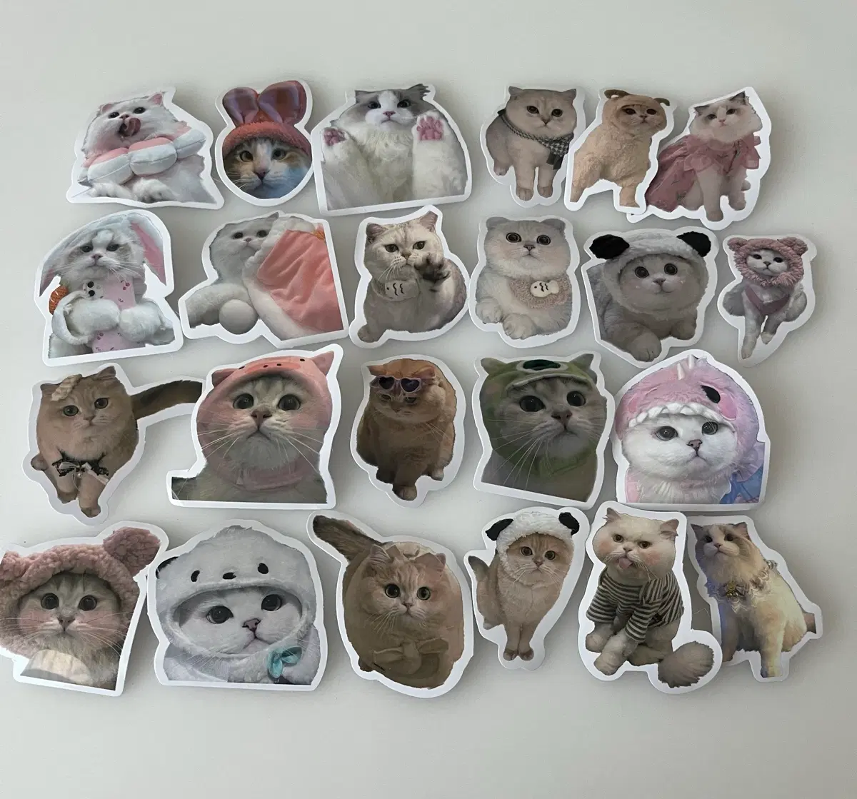 귀여운 고양이 스티커 세트