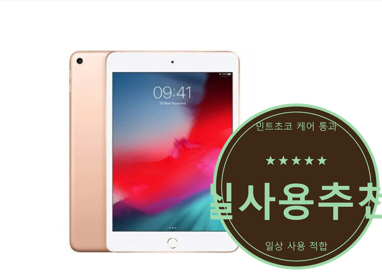 아이패드 미니 5세대 256GB LTE 실버 A급