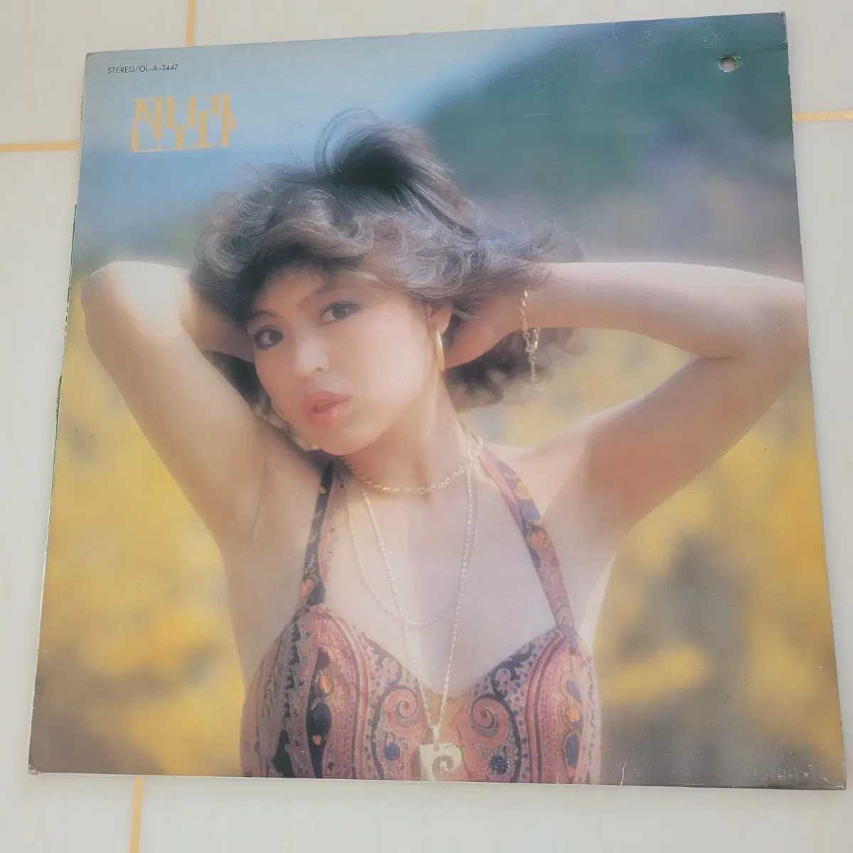 진보라 lp