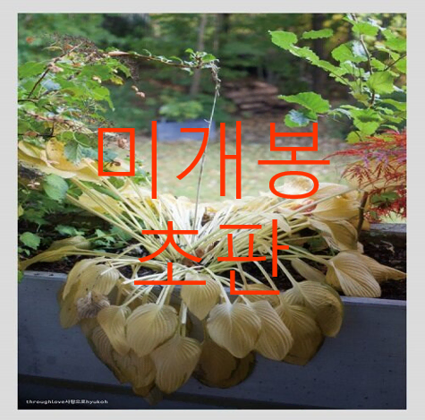 [미개봉 초판] 혁오 (Hyukoh) - 사랑으로 (CD)