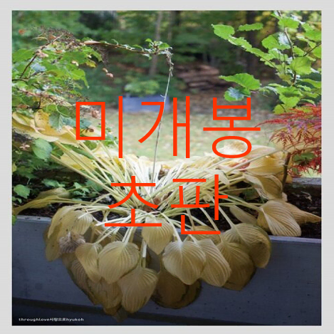 Shop hyukoh on Bunjang Global Site - No more Korean account!